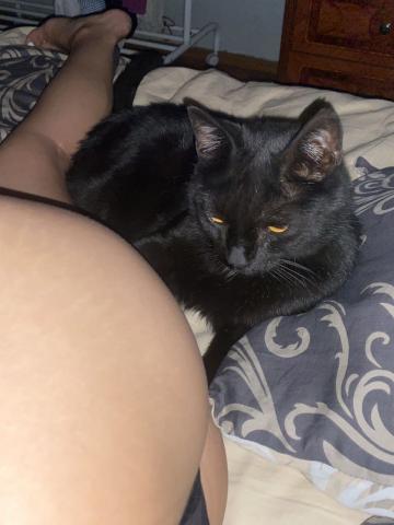 София фото 3